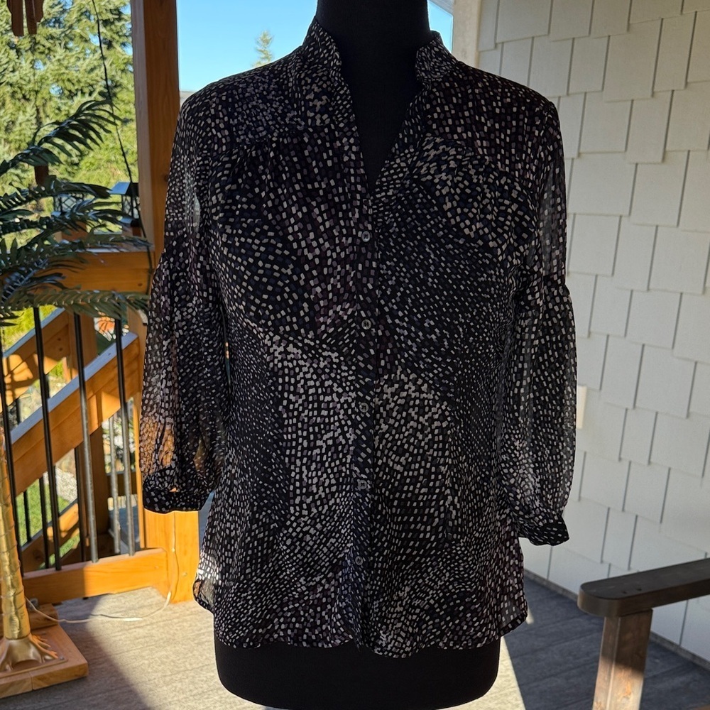 PLANET by Lauren G | V-Neck Sheer Button Down Blouse